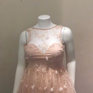 Fashionnova apricot butterfly dress.